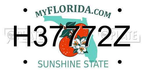 H37772Z Florida License Plate