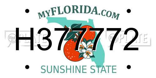 H377772 Florida License Plate