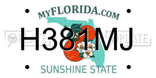 H381MJ Florida License Plate