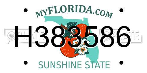 H383586 Florida License Plate