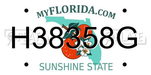 H38358G Florida License Plate