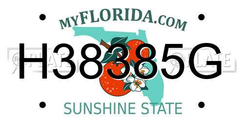 H38385G Florida License Plate