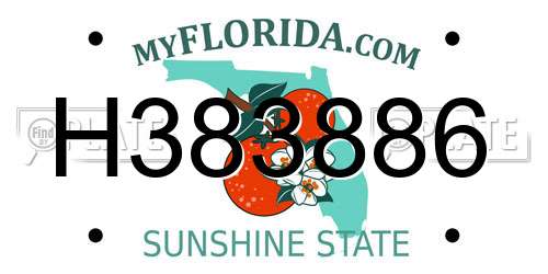 H383886 Florida License Plate