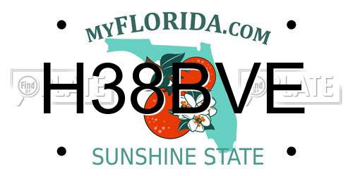H38BVE Florida License Plate