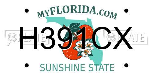 H391CX Florida License Plate