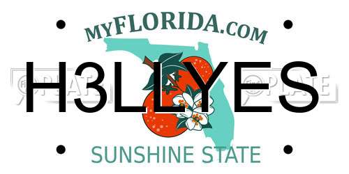H3LLYES Florida License Plate