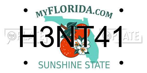 H3NT41 Florida License Plate