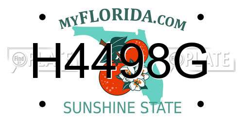 H4498G Florida License Plate