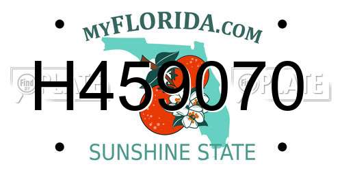 H459070 Florida License Plate