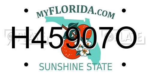 H45907O Florida License Plate
