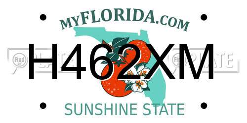 H462XM Florida License Plate