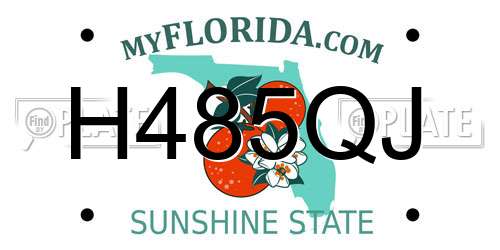 H485QJ Florida License Plate