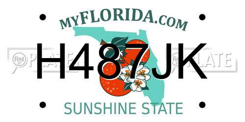 H487JK Florida License Plate