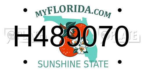 H489070 Florida License Plate