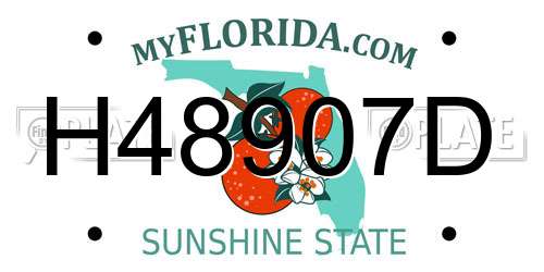 H48907D Florida License Plate