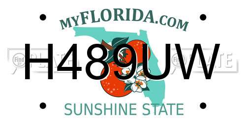 H489UW Florida License Plate