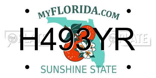 H493YR Florida License Plate