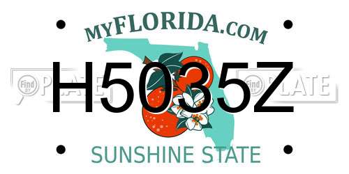 H5035Z Florida License Plate