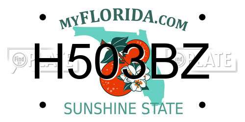 H503BZ Florida License Plate