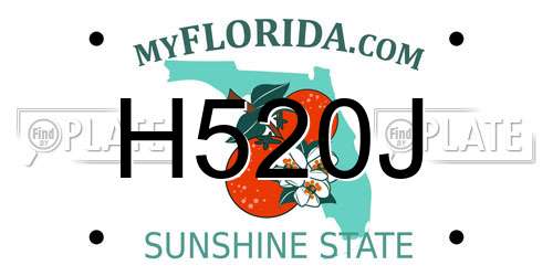 H520J Florida License Plate