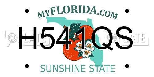 H541QS Florida License Plate