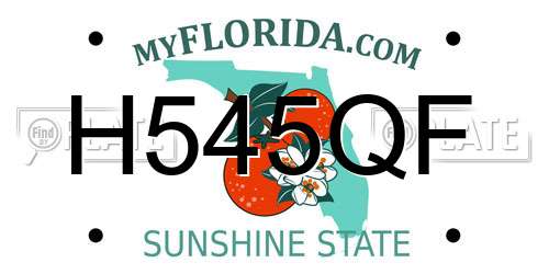 H545QF Florida License Plate