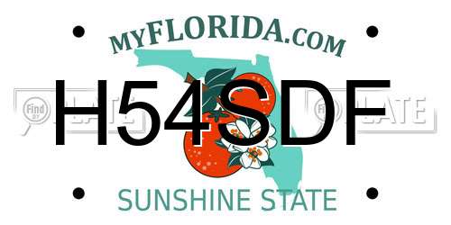 H54SDF Florida License Plate