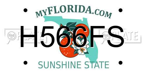 H566FS Florida License Plate