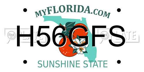 H56GFS Florida License Plate