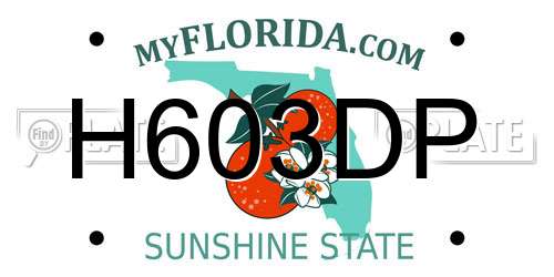 H603DP Florida License Plate