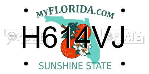 H614VJ Florida License Plate