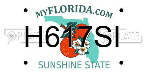 H617SI Florida License Plate