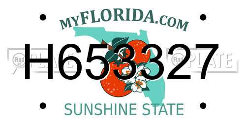 H653327 Florida License Plate