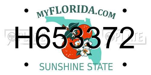 H653372 Florida License Plate