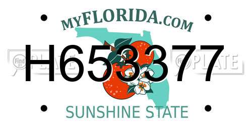 H653377 Florida License Plate
