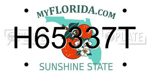 H65337T Florida License Plate