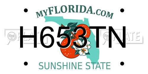 H653TN Florida License Plate