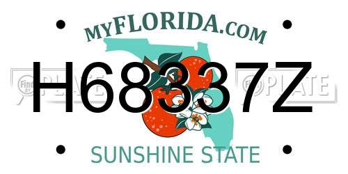 H68337Z Florida License Plate