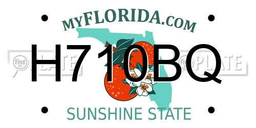 H710BQ Florida License Plate