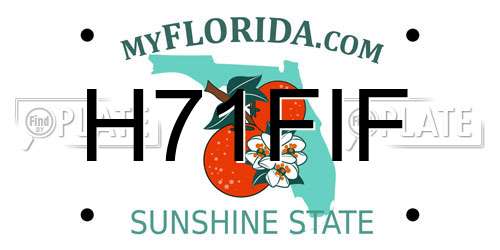 H71FIF Florida License Plate