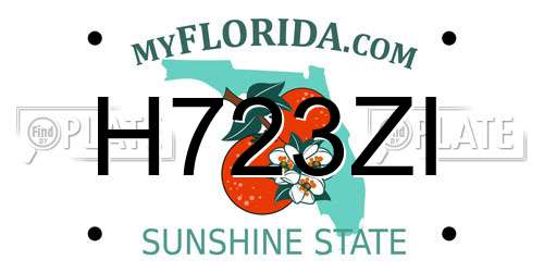 H723ZI Florida License Plate