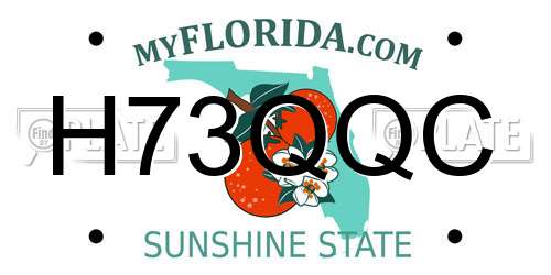 H73QQC Florida License Plate