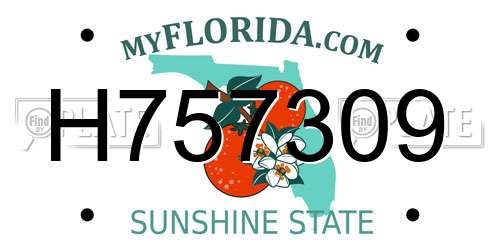 H757309 Florida License Plate