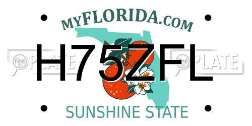 H75ZFL Florida License Plate