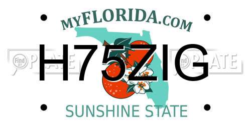 H75ZIG Florida License Plate