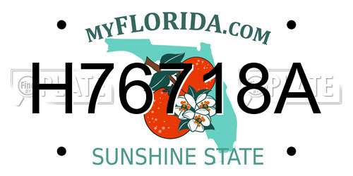 H76718A Florida License Plate