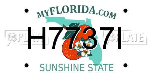 H7737I Florida License Plate