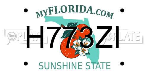 H773ZI Florida License Plate