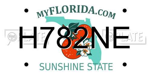 H782NE Florida License Plate
