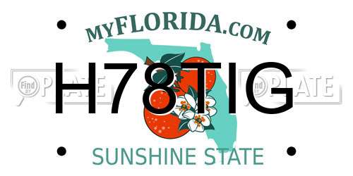 H78TIG Florida License Plate